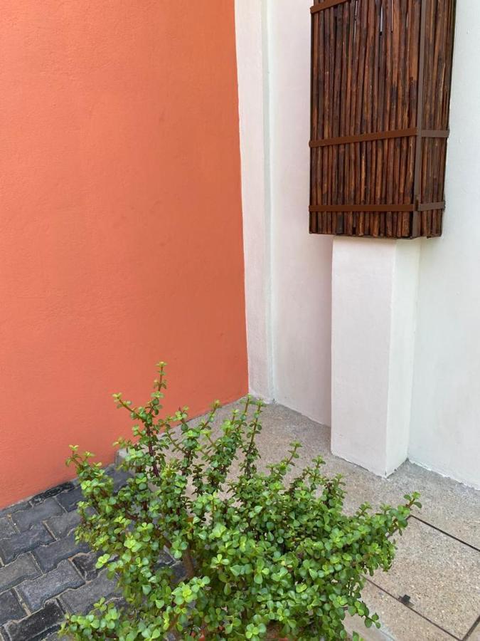 Casa Suites Minizoo Puerto Escondido  Dış mekan fotoğraf