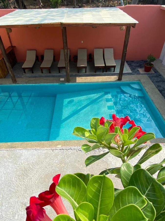 Casa Suites Minizoo Puerto Escondido  Dış mekan fotoğraf